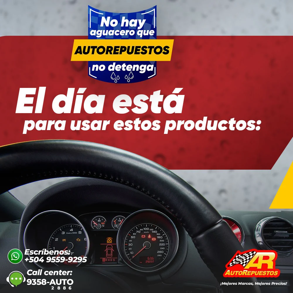 AutoRepuestos