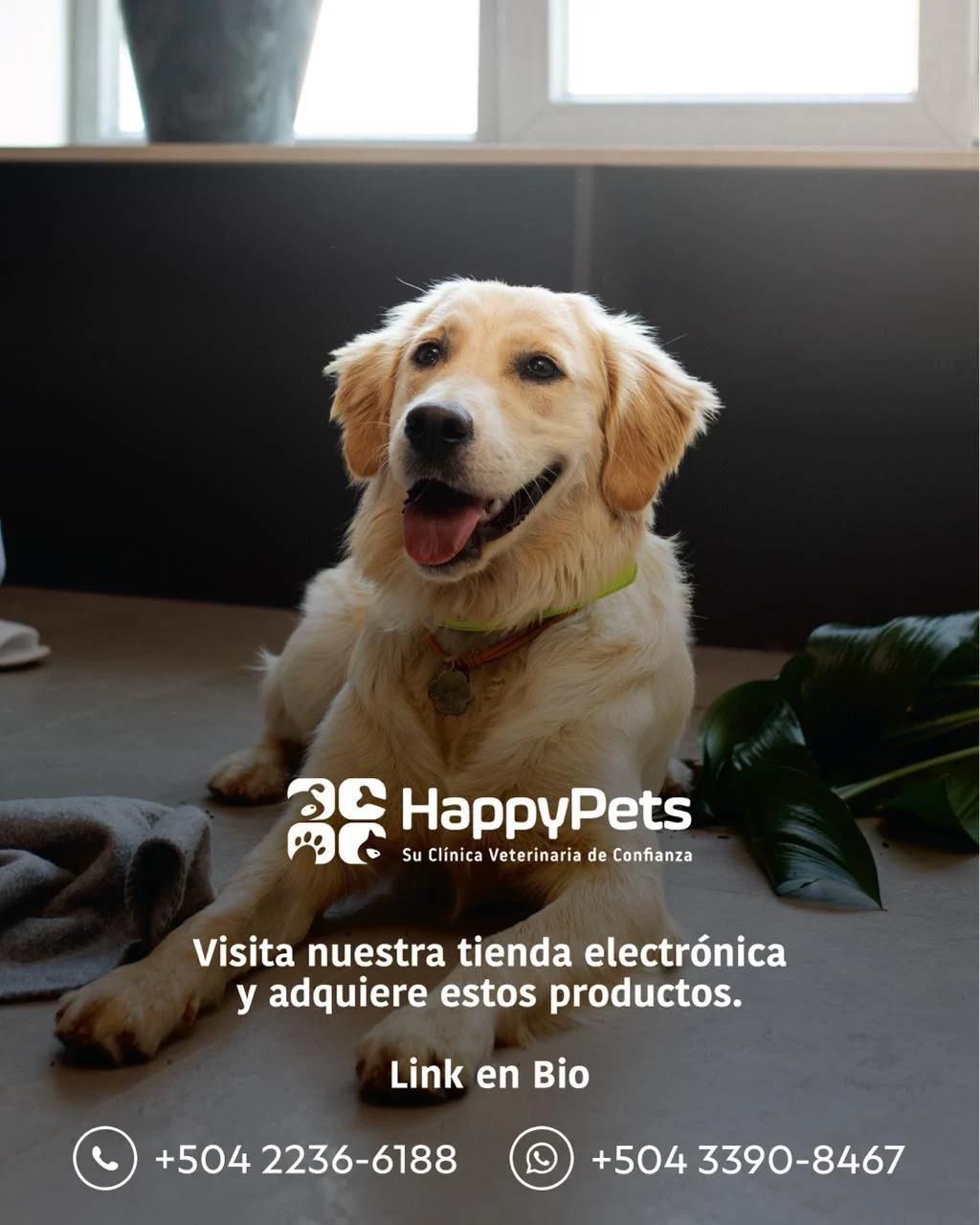 HappyPets