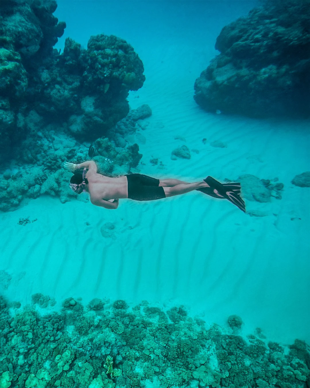 Representantes Turisticos