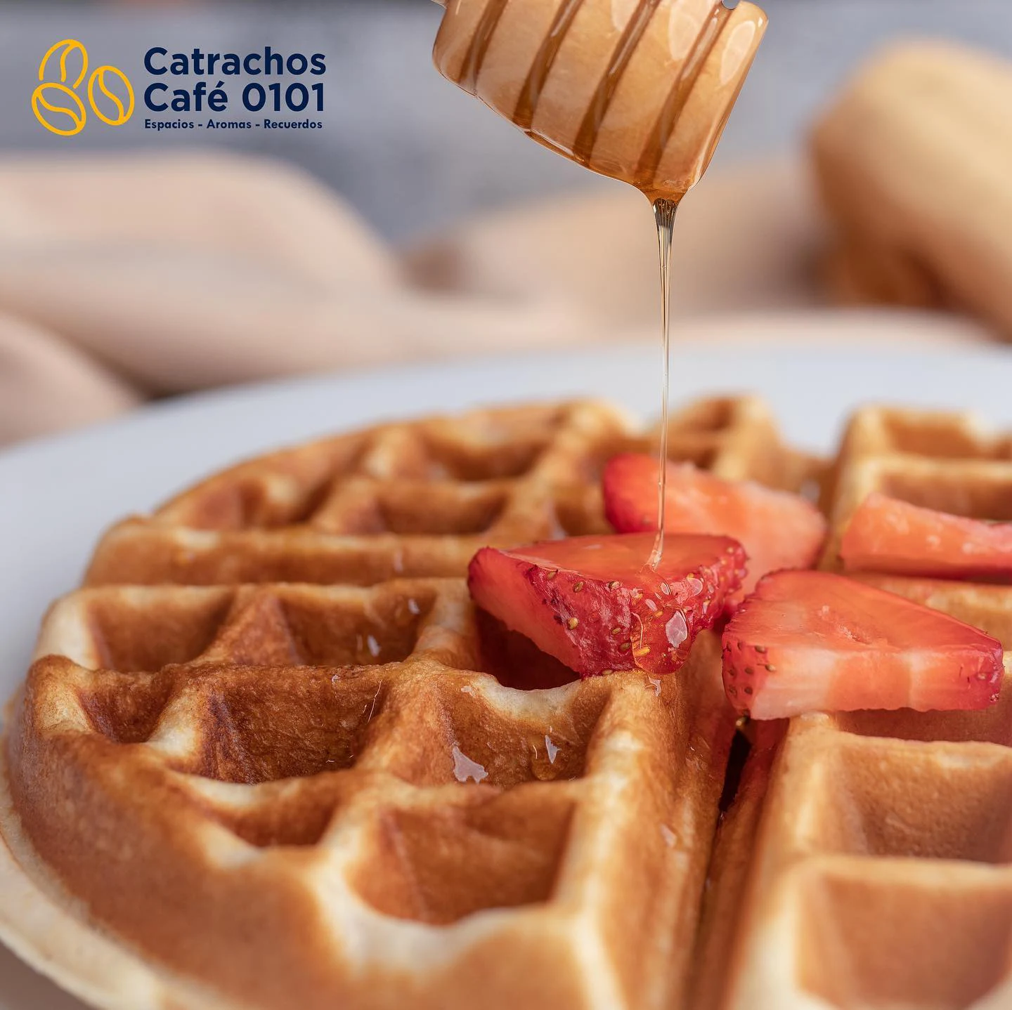 catrachos café 0101