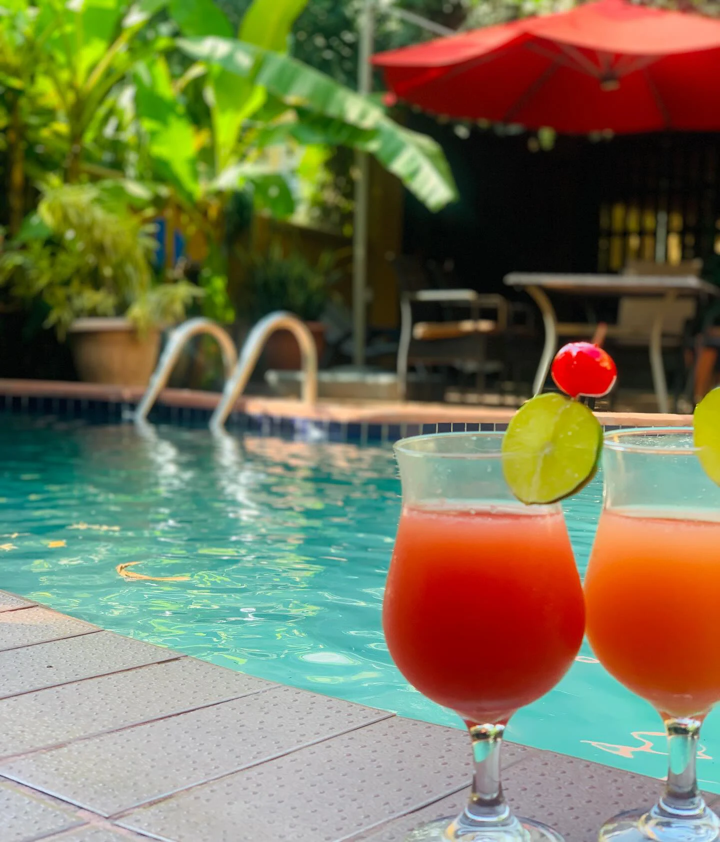 Hoteles La Cordillera