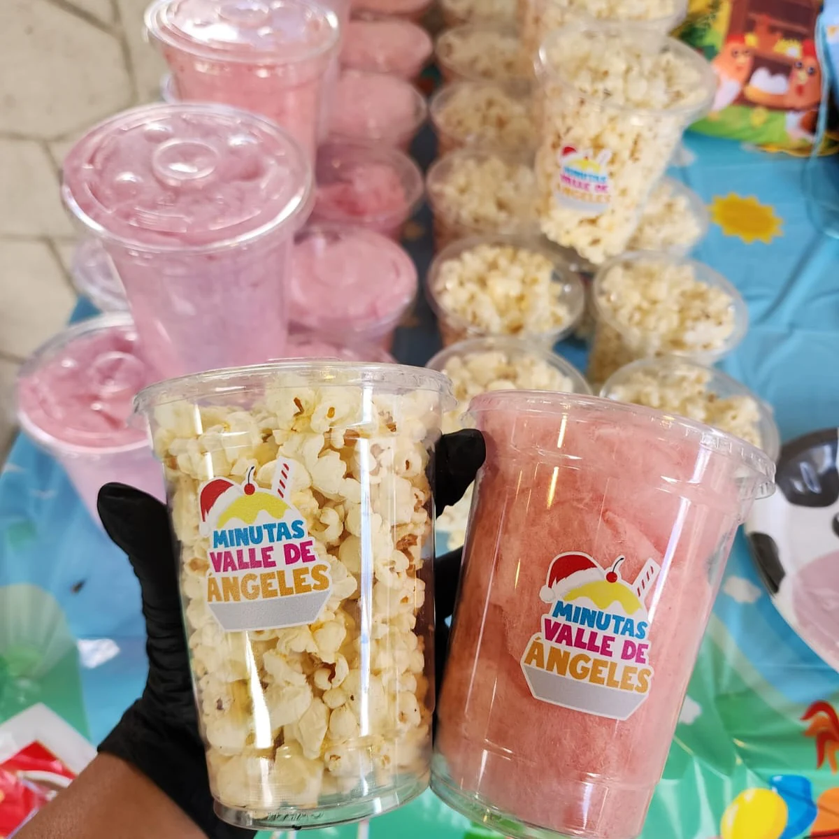 Minutas Valle de Ángeles