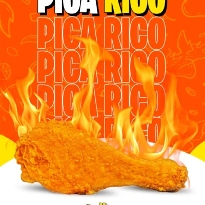 pollo-sanson-3