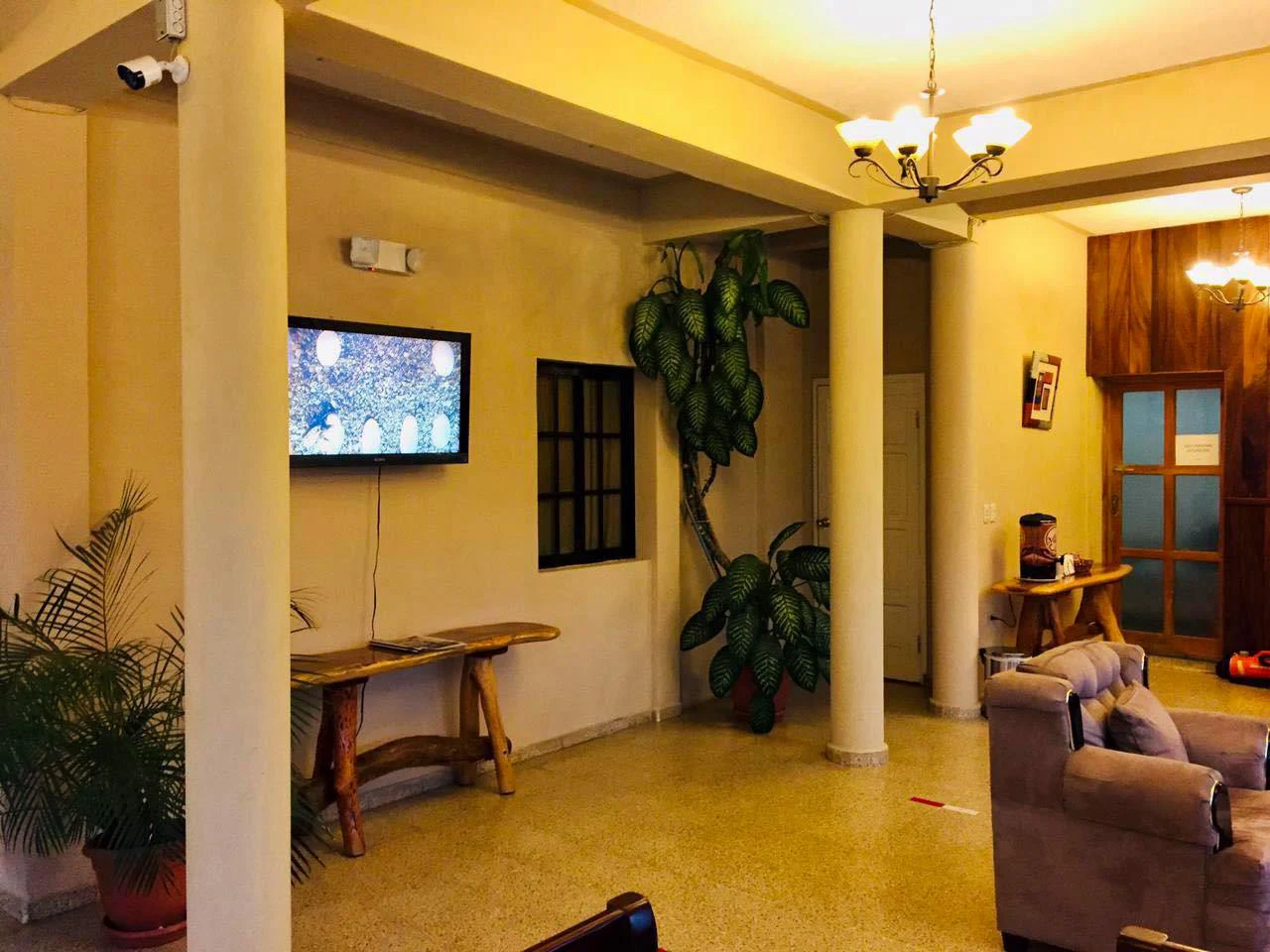 Hotel Las Margaritas