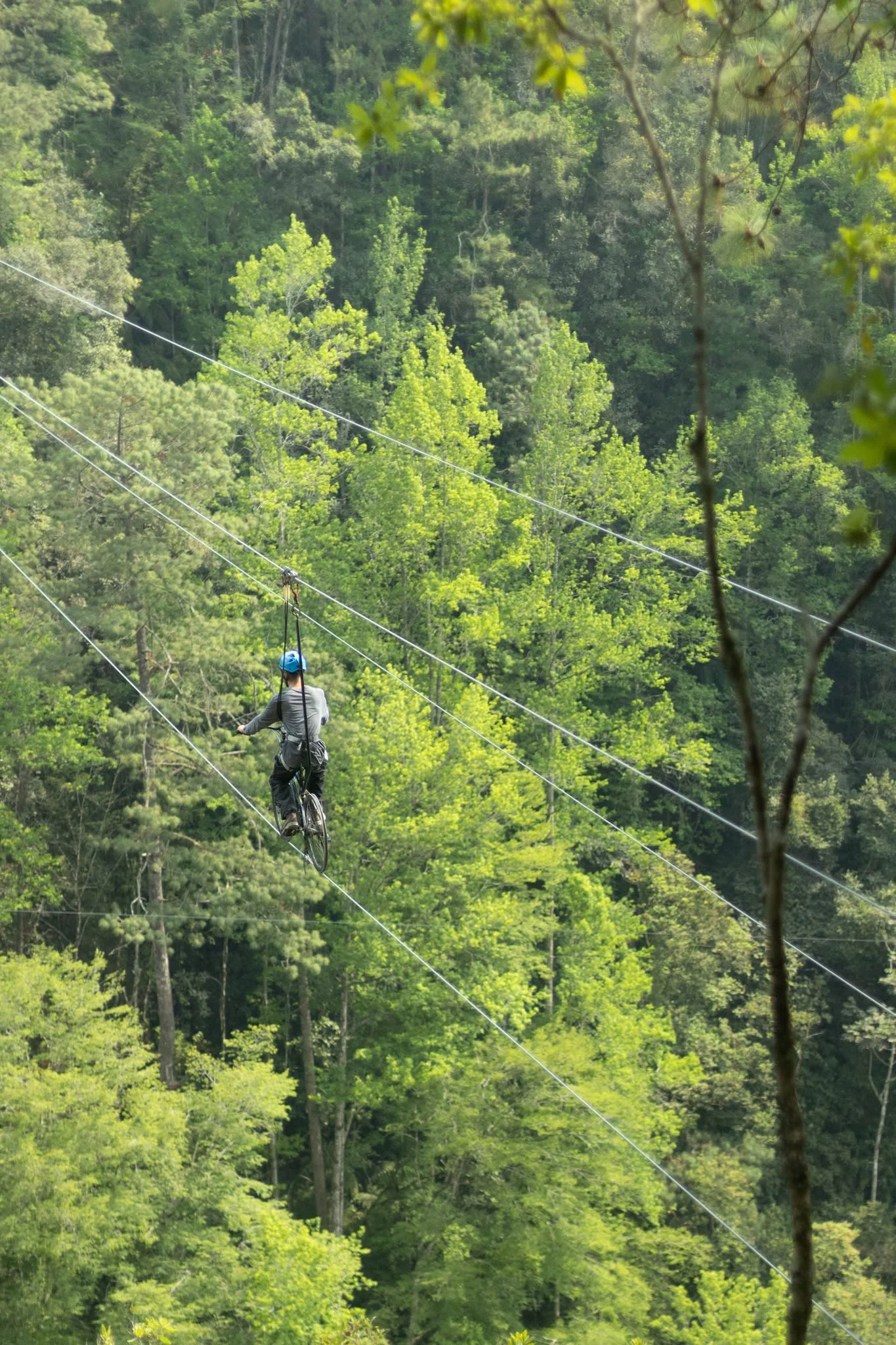 Canopy Extrem El Chiflador